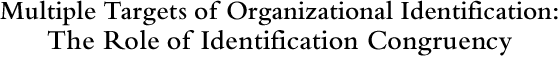 Multiple Targets of Organizational Identification: The Role of Identification Congruency